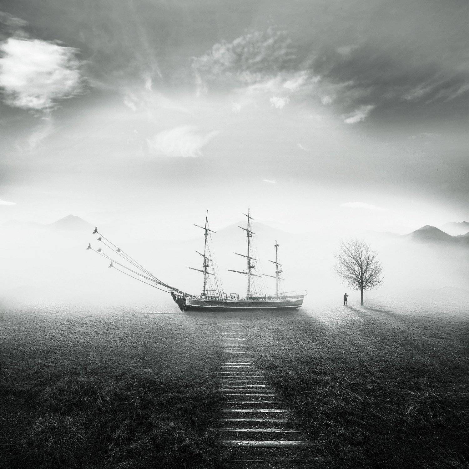 #35photo #surrealart#ps_fantasy#art_minimal #bnw_dream #photography#minimalism#conceptual#fineart #instagram#iranfeature#bnwminimalismmag#art_digital #ir_photographer#iran #photographize#blackandwhite#bnw_greatshots  #surreal#hadimalijani#art#fantastic_ea, Hadi Malijani