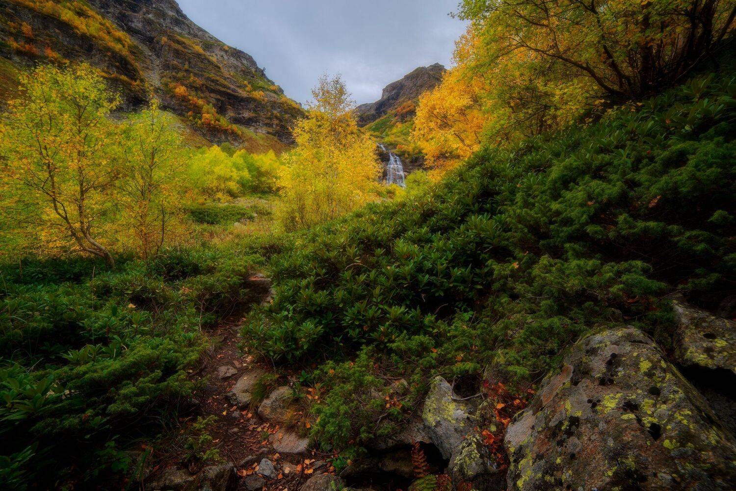 , Alexander Plekhanov