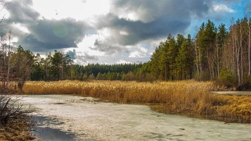 В окрестностях гог. Кулебаки...