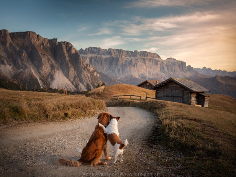 фото превью