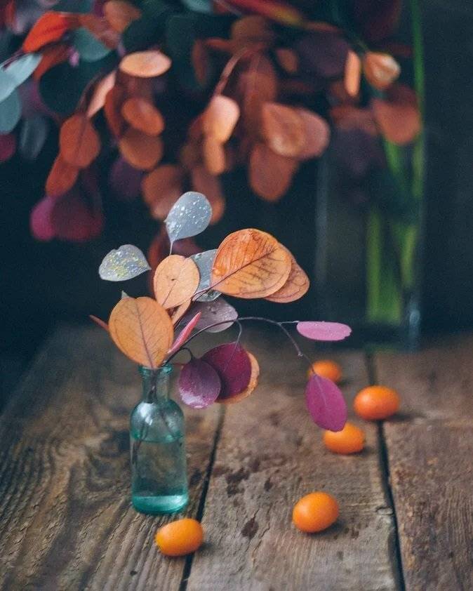 Осень, натюрморт, листья, Анастасия Зубкова