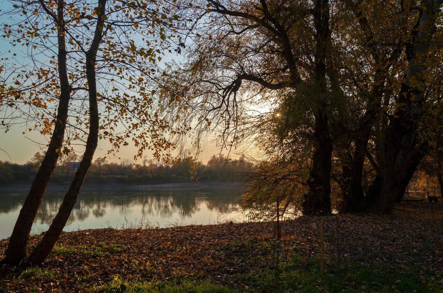 , Алексей Рыльский