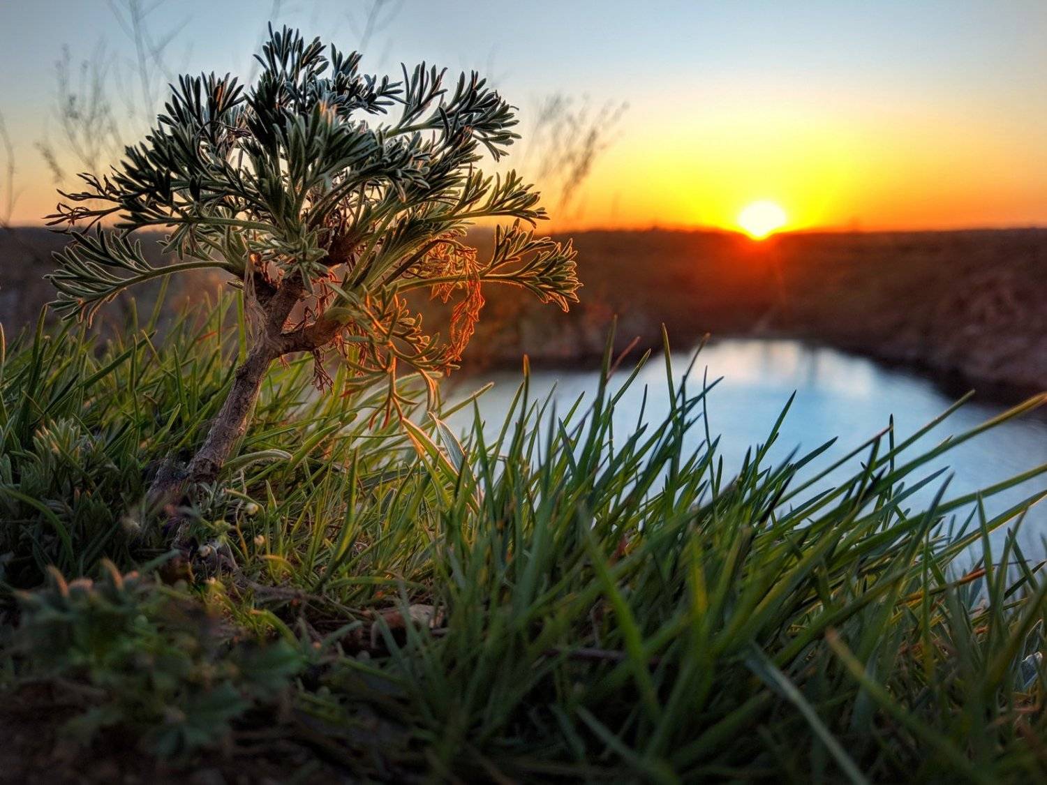 закат,весна,пейзаж,краски,зелень,солнце,небо,река,рекаднепр,landscape,сюжет,природа,nature,sky, Сергей Богачёв