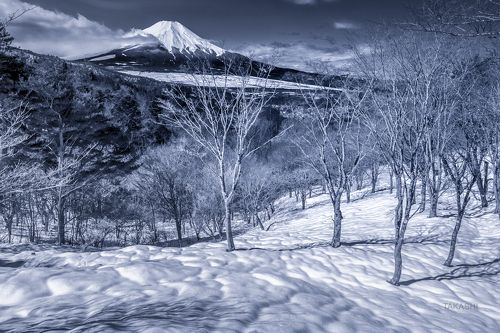 Snowy morning