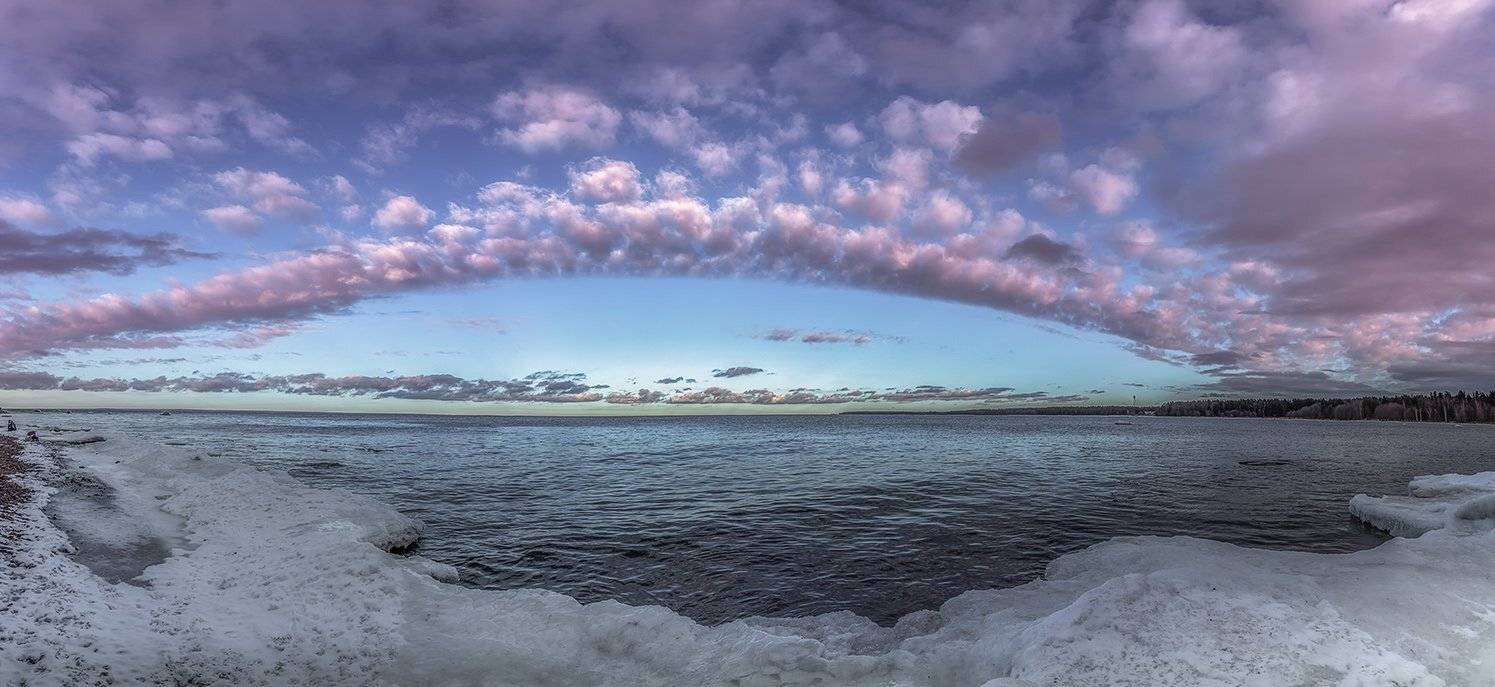 , Елена Маковоз