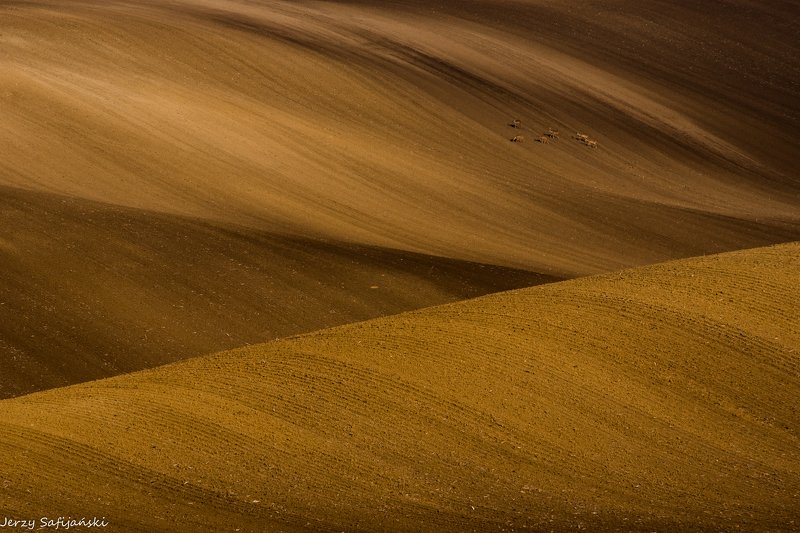 I walk around Moravia фото превью