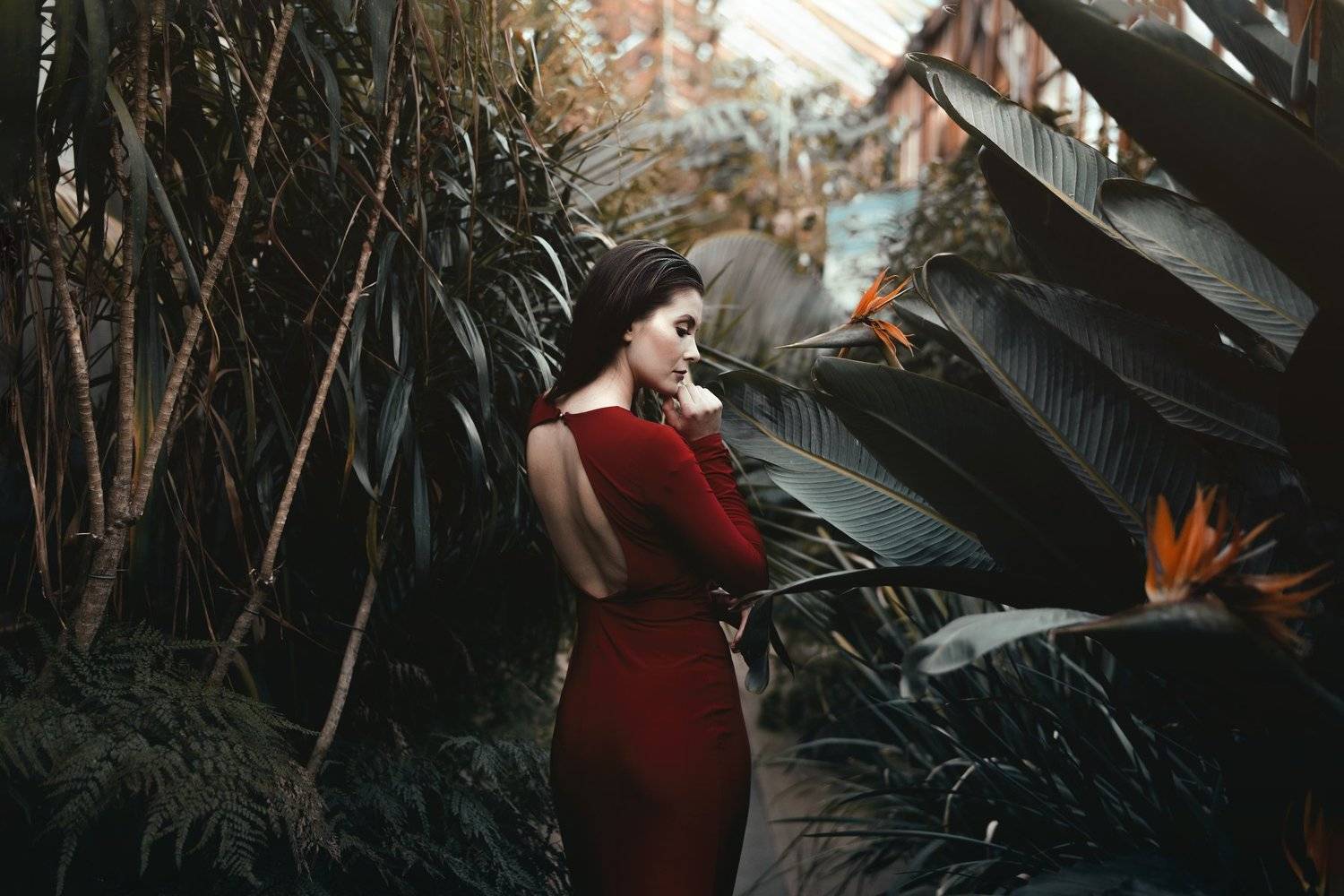 red dress beauty, Rafal Lapszanski