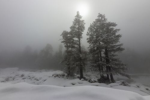in the white haze...