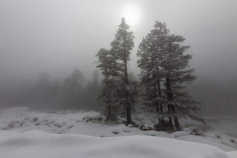 in the white haze... фото превью