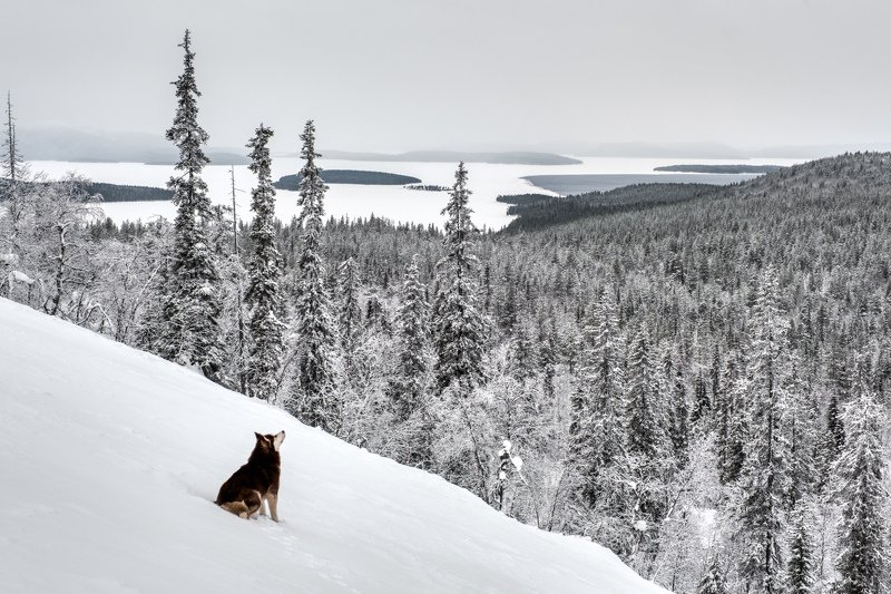 заполярье, зимний пейзаж, fujifilm Заполярье. фото превью