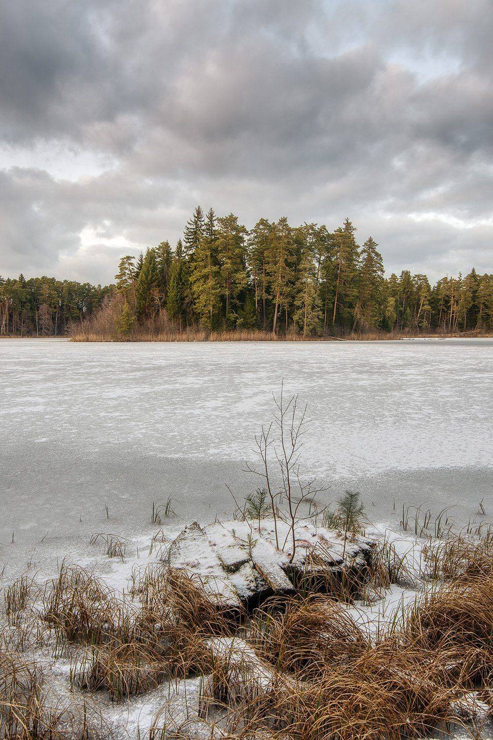 , Федотов Антон