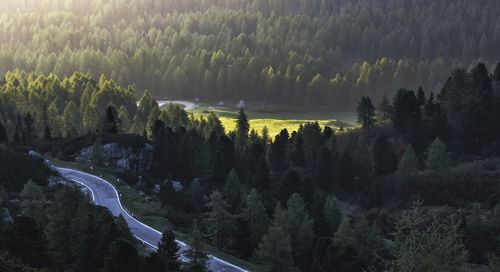 Passo Giau. Dolomiti
