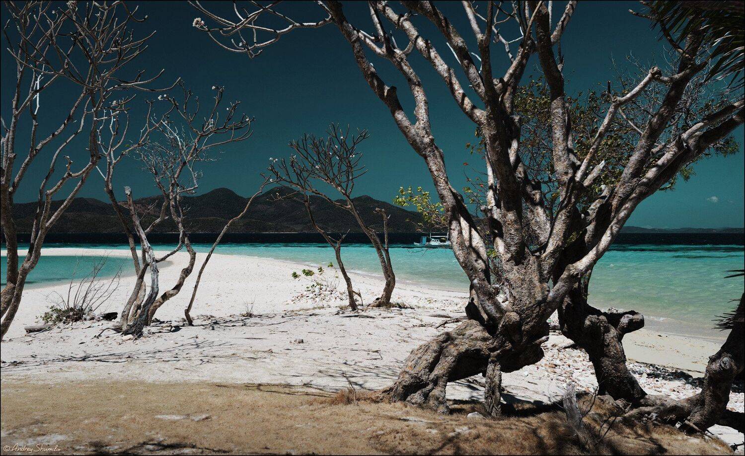 , Андрей Шумилин