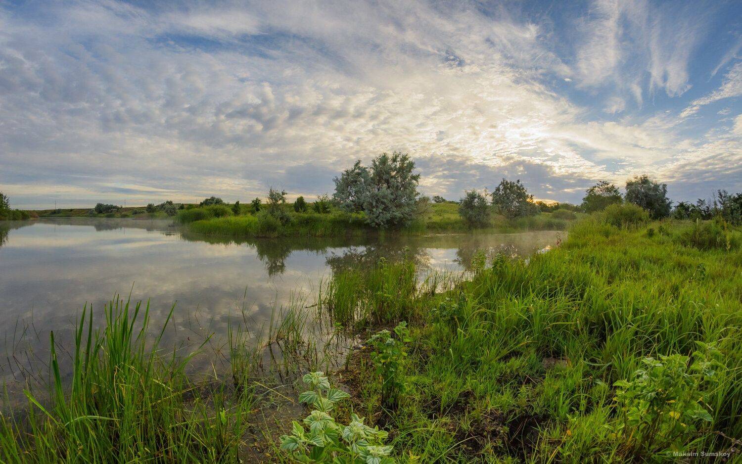 утро,тишина,река,природа, Максим Сумской