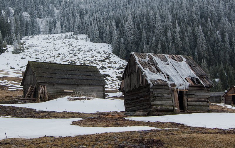 Март фото превью