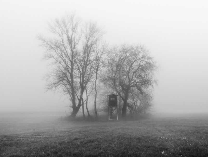 On the edge of the meadow фото превью