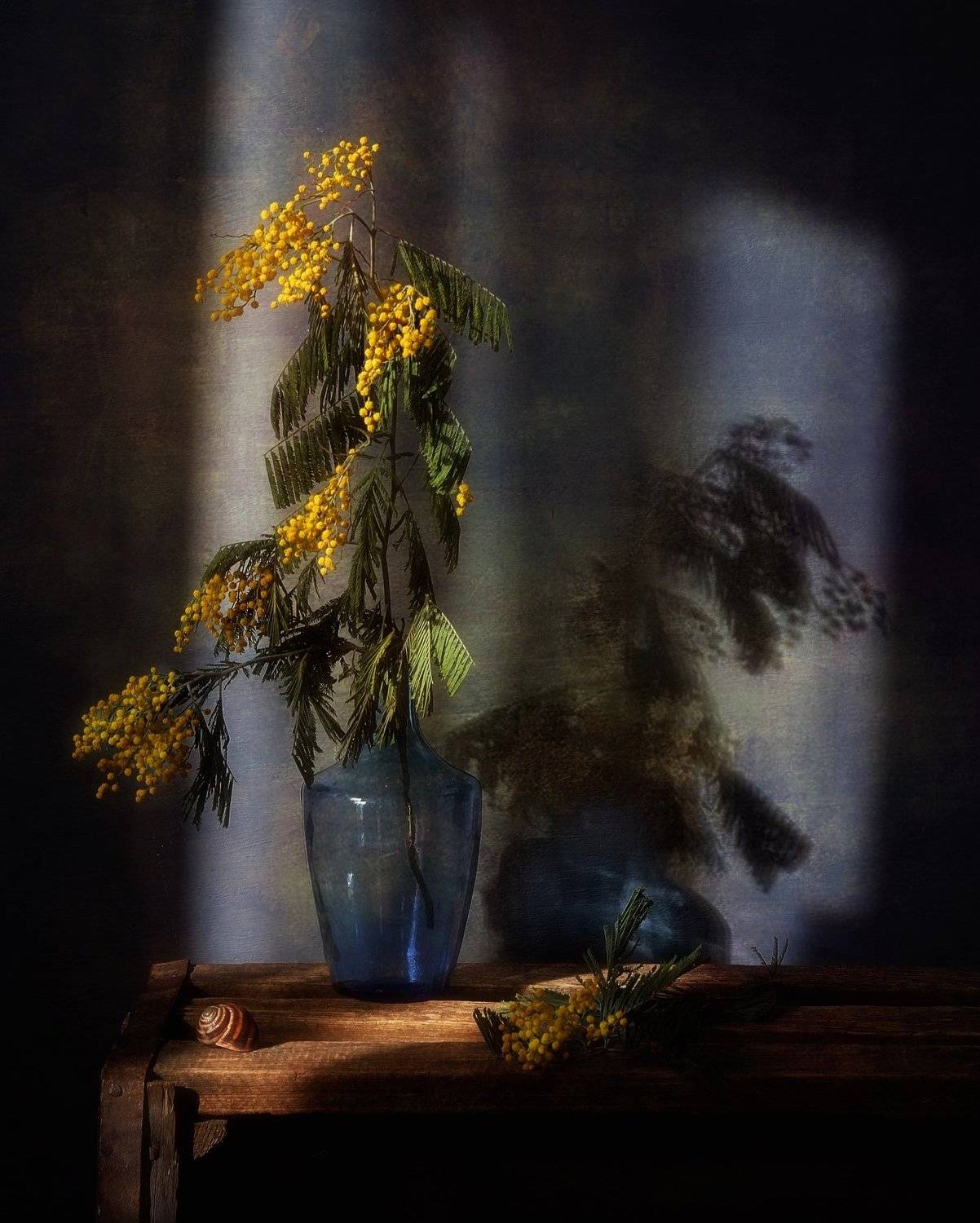 натюрморт,цветы,мимоза,весна,тень,  Наталия К