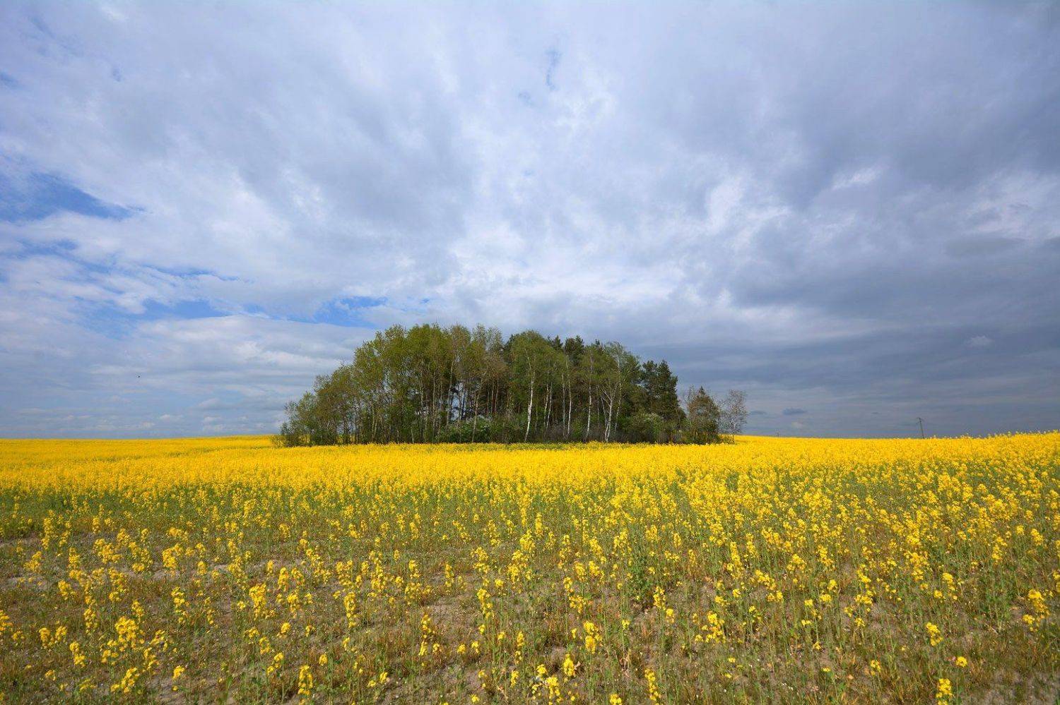, Сергей Харитон