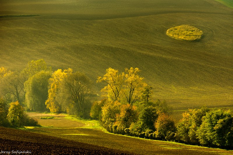I walk around Moravia фото превью