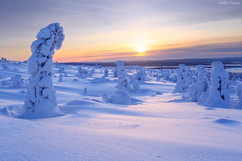 кольский, север, заполярье Мороз снежком укутывал... фото превью