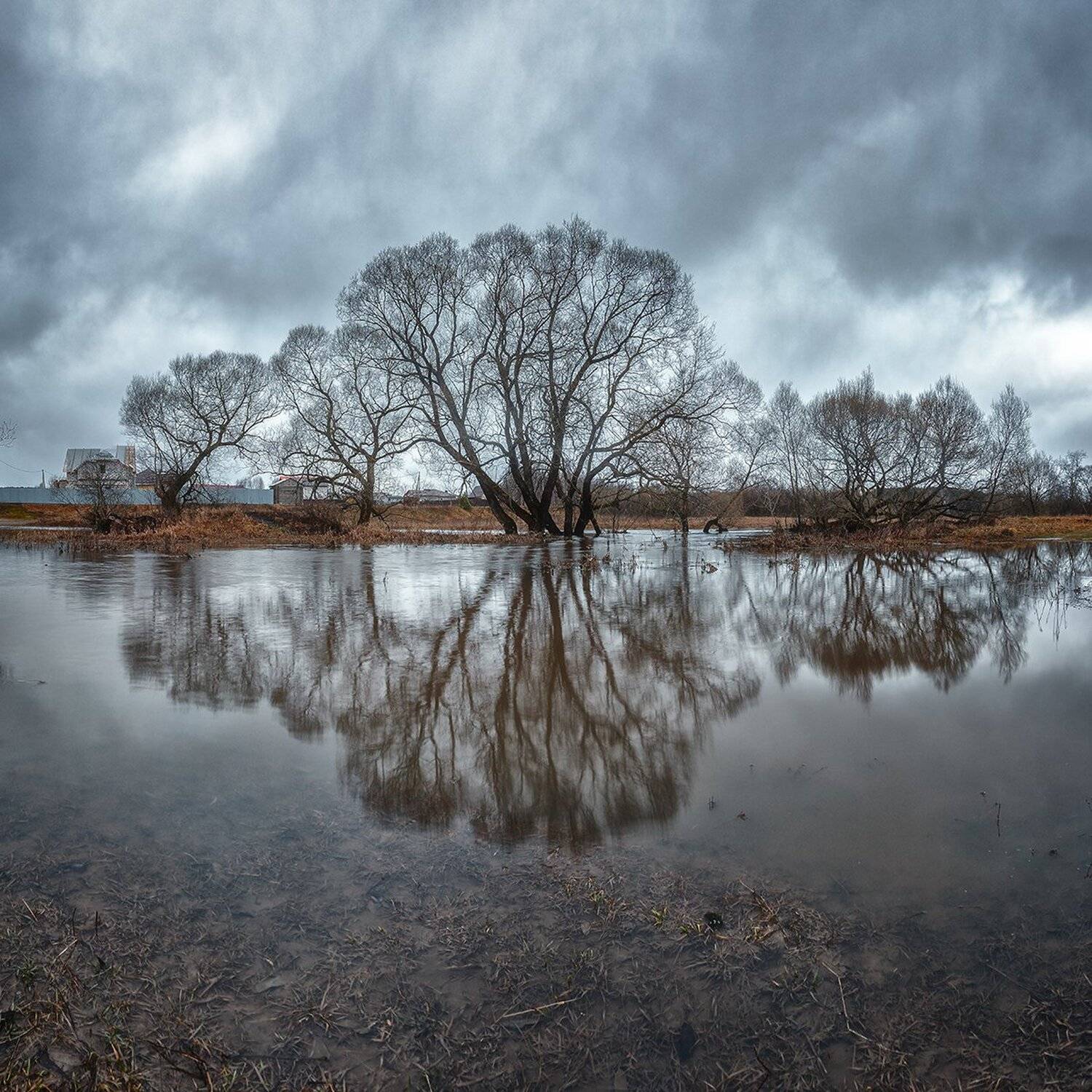 , Николай Андреев