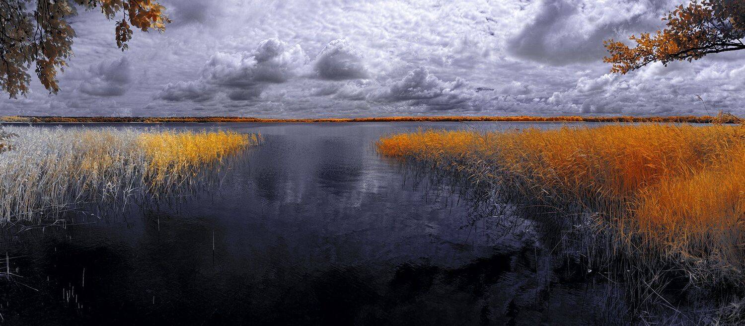 infrared,ик-фото,инфракрасное фото, инфракрасная фотография, пейзаж, лето, Sixten ( Сергей )