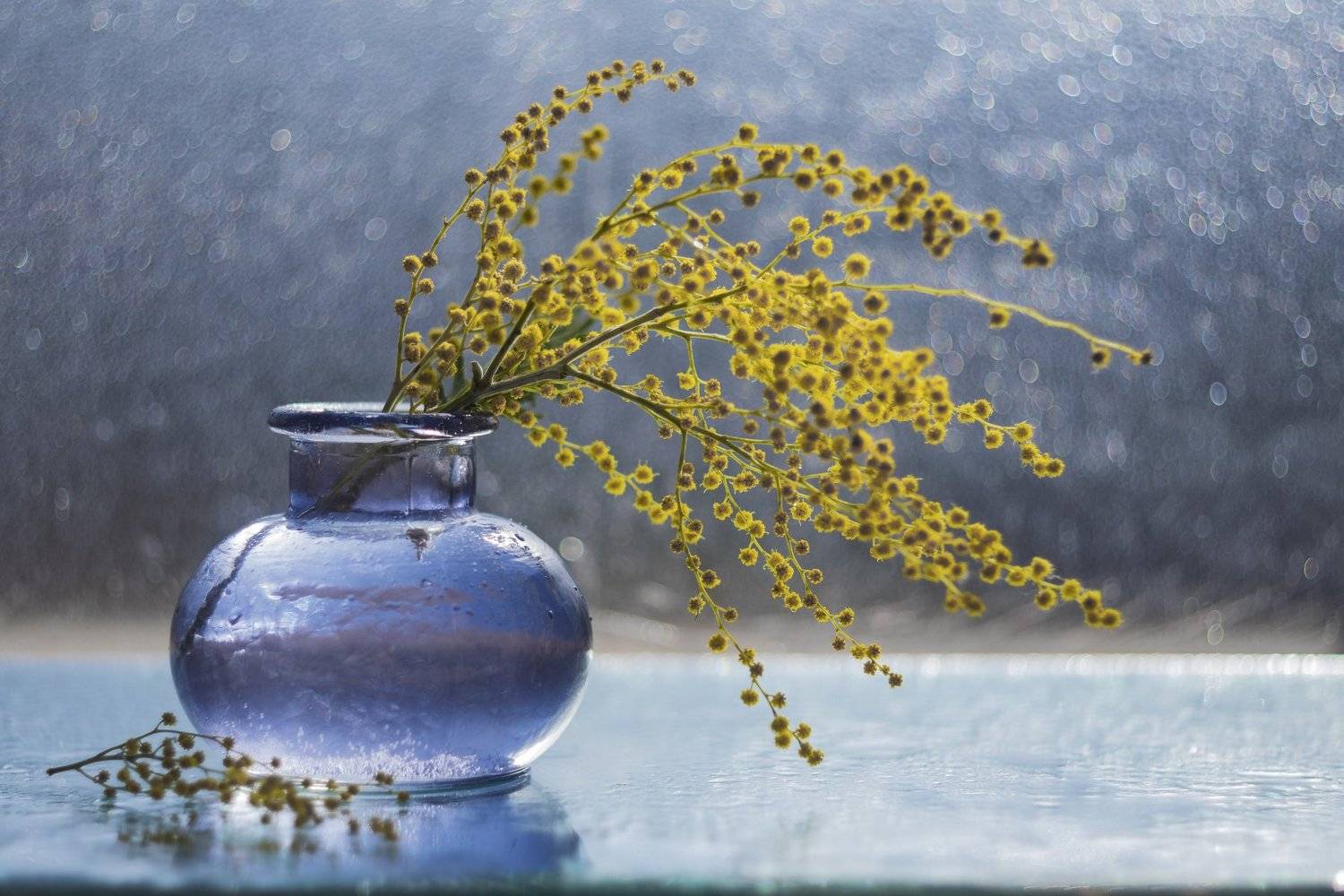 , Денис Ветренко