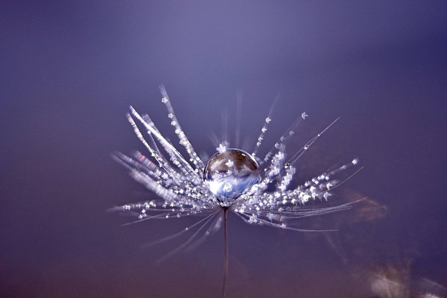 , Юлия Хаванова