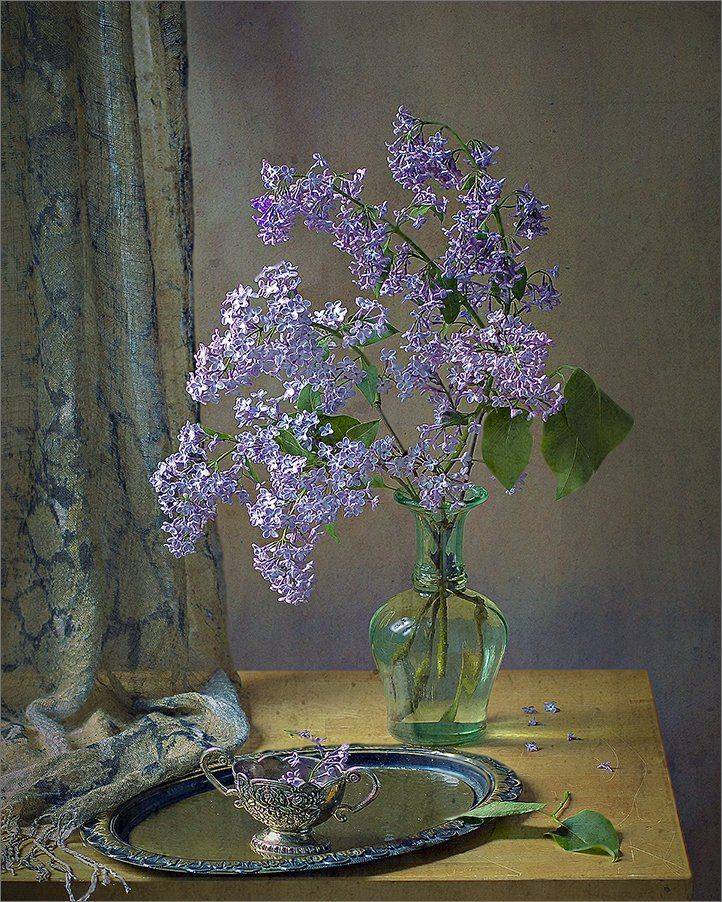 , Stein Georg
