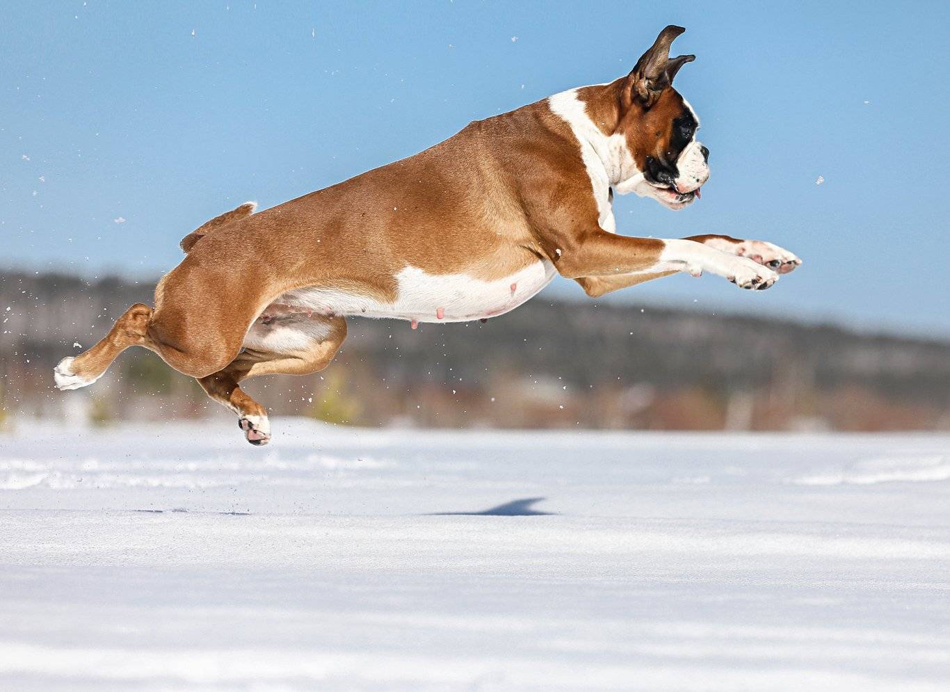, Андрей Ершов