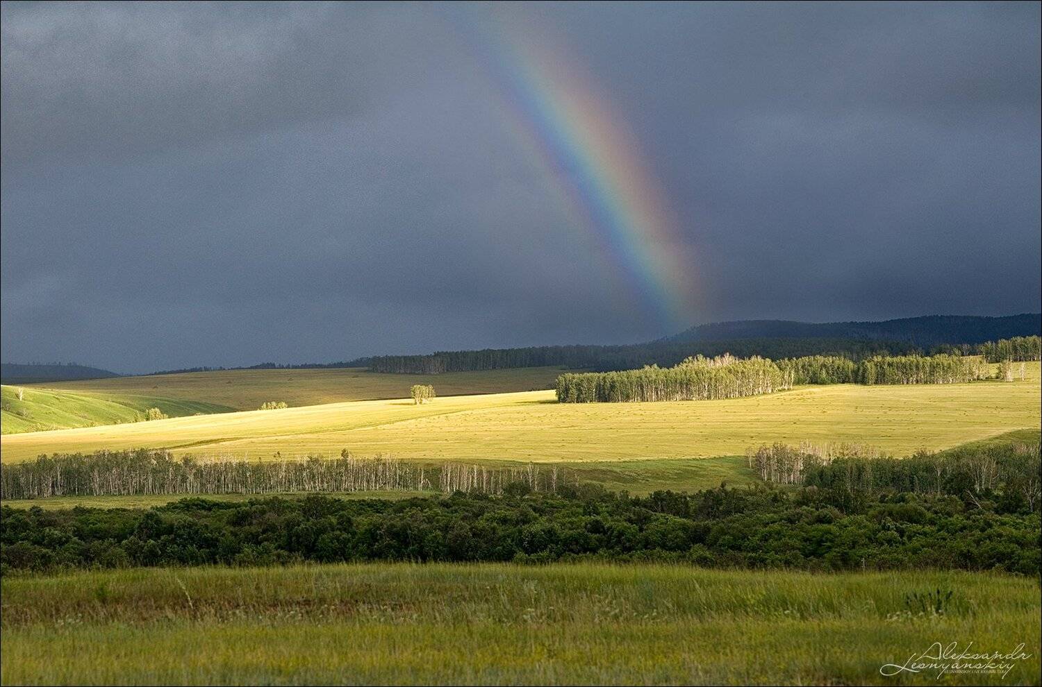 забайкальский край, Александр Леснянский
