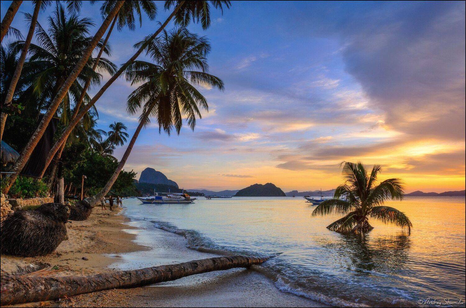 , Андрей Шумилин