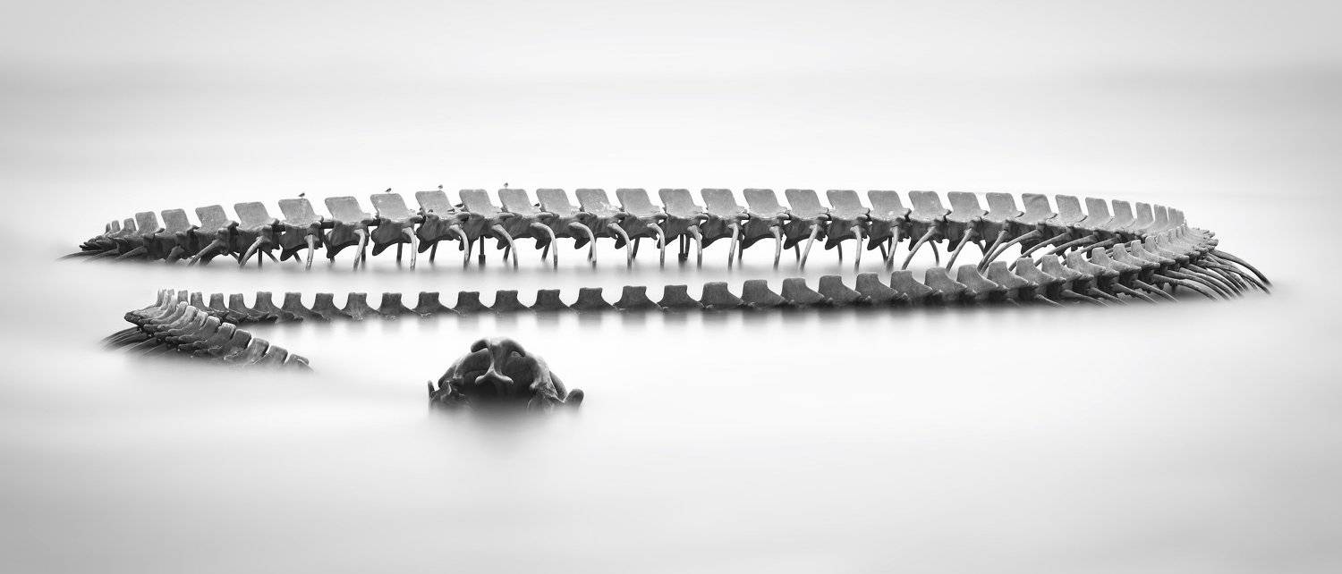 , Эдуард Горобец