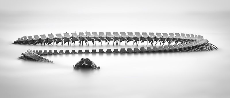 Serpent d\'océan 2 фото превью