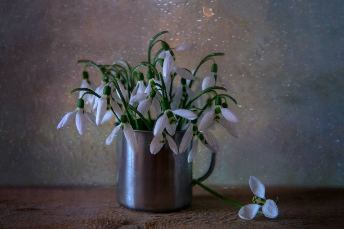 подснежники,весна,натюрморт, Елена Брежицкая