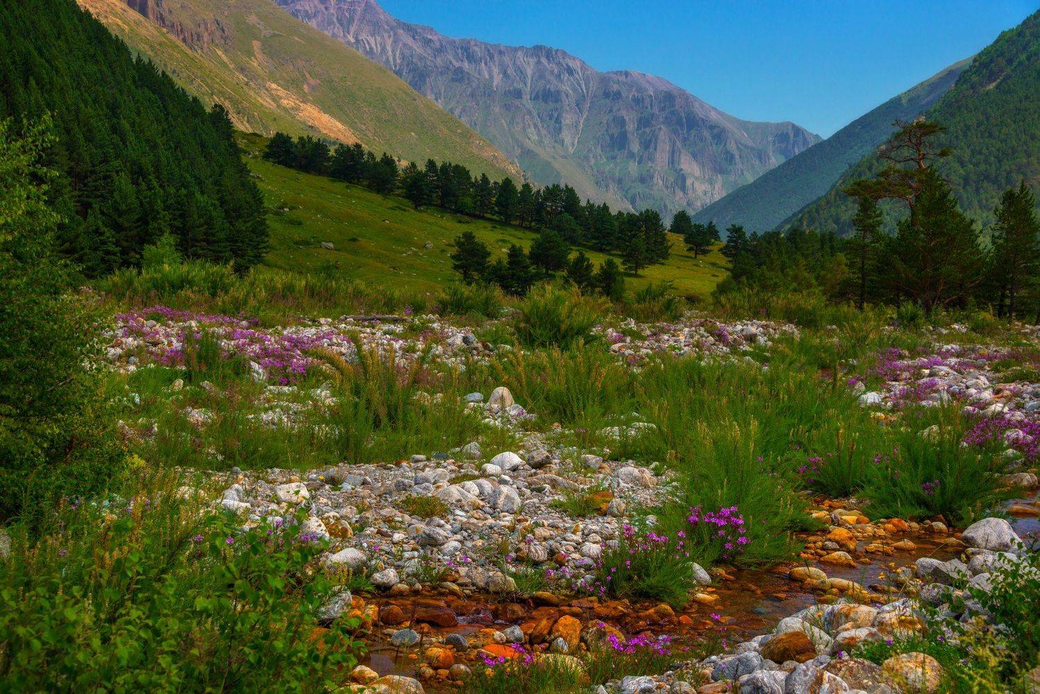чегемское ущелье,кабардино-балкария,лето,нарзан,пейзаж, Елена Брежицкая