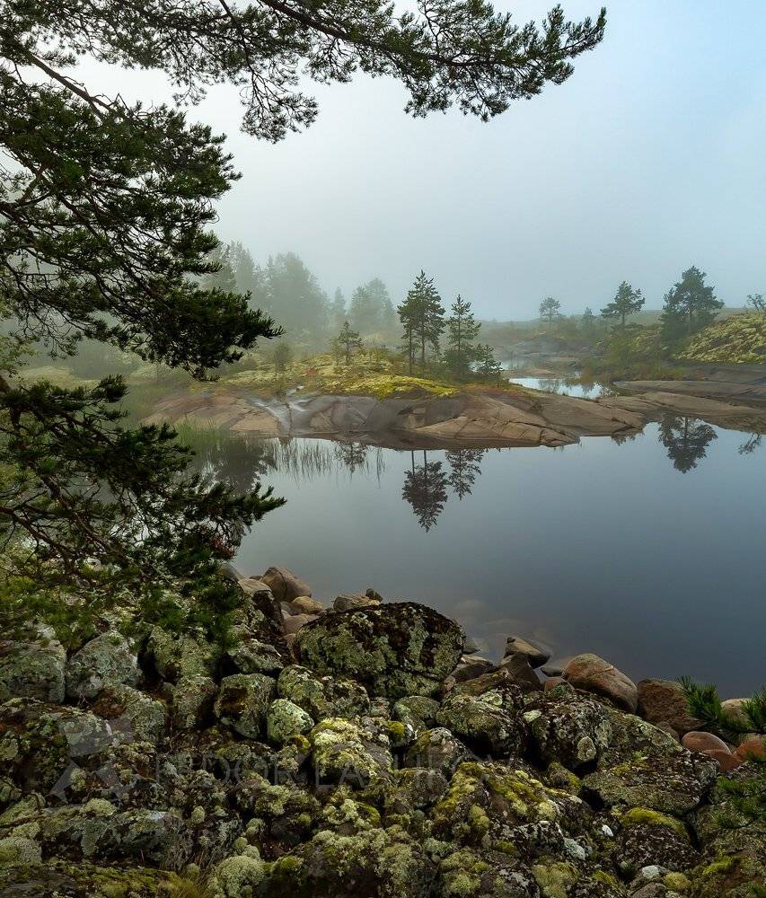 ладожское озеро, карелия, шхеры, лето, остров, берег, штиль, вода, рассвет, путешествие, мох, ягель, камни, отражение, бухта, камни, сосна,, Лашков Фёдор