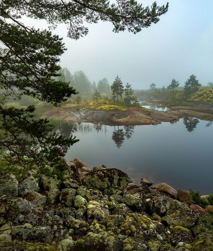 Штиль в бухте