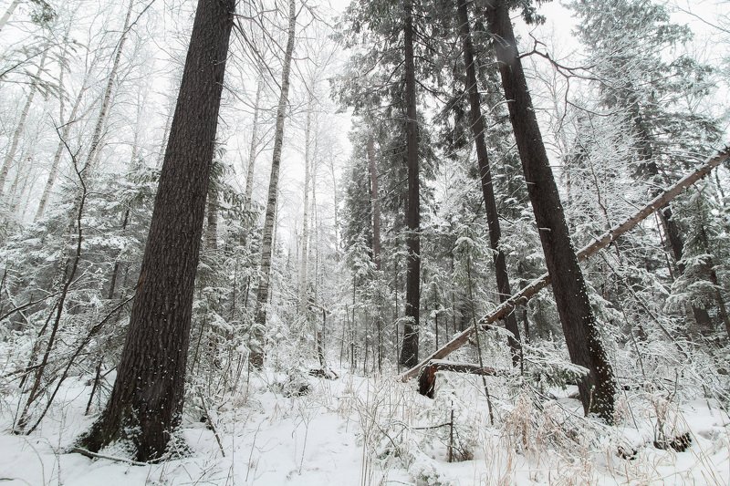 После снегопада фото превью