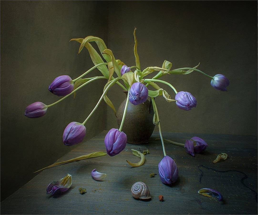 , Stein Georg
