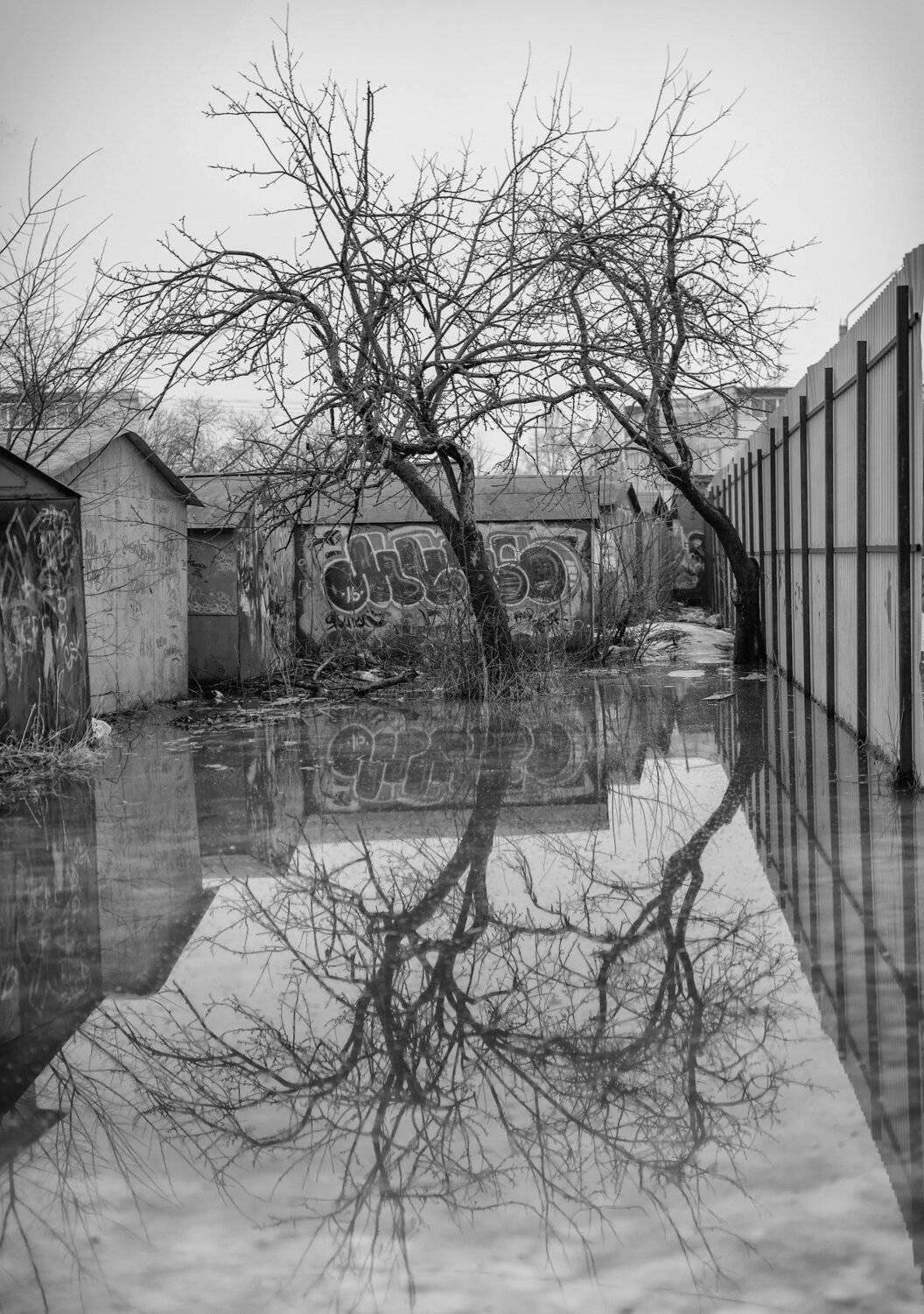 , Константин Дэм