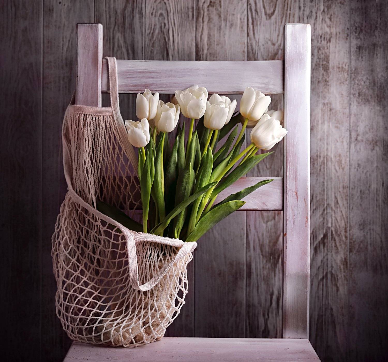 , Наталья Бочкарева