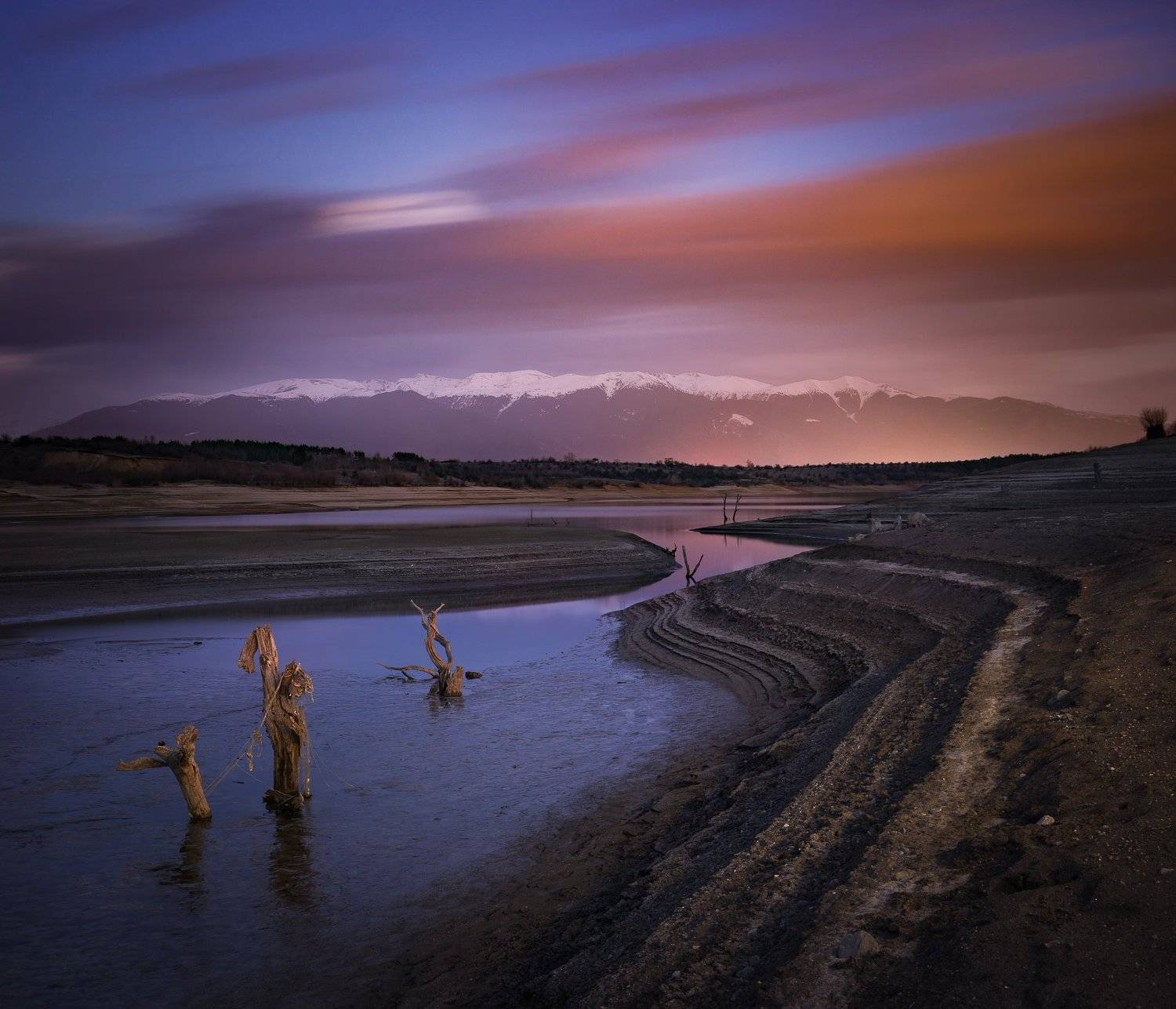 , Калин Панчев