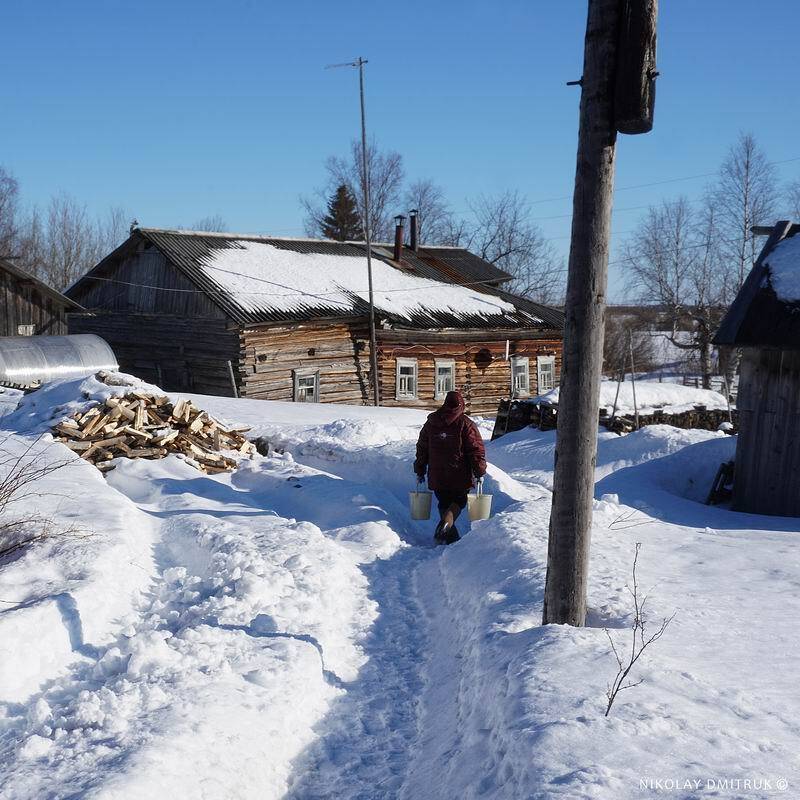 пейзаж, николай дмитрук