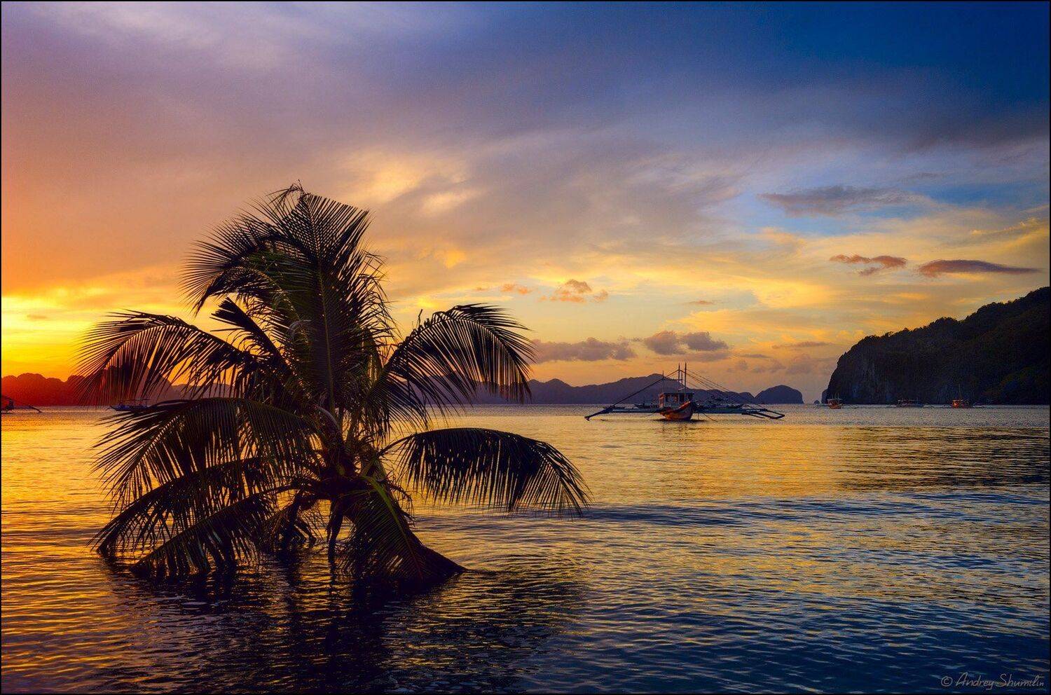 , Андрей Шумилин