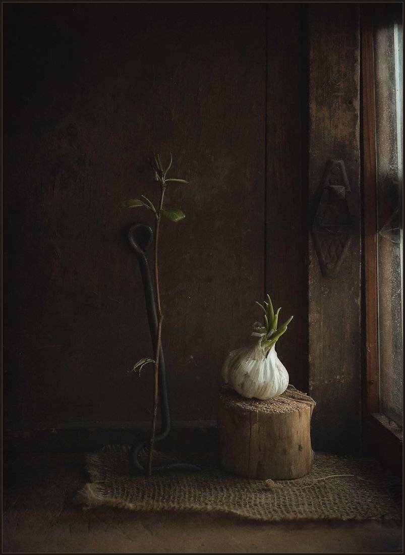 , Александр Хромеев