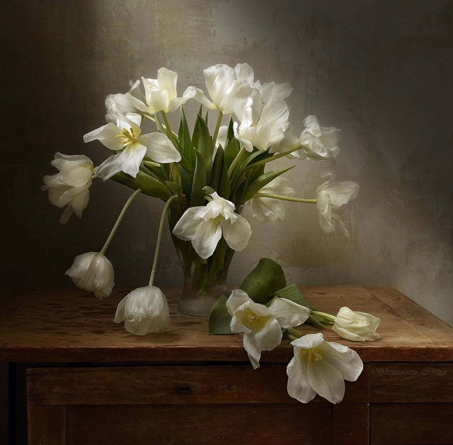 , Шипунова Ирина