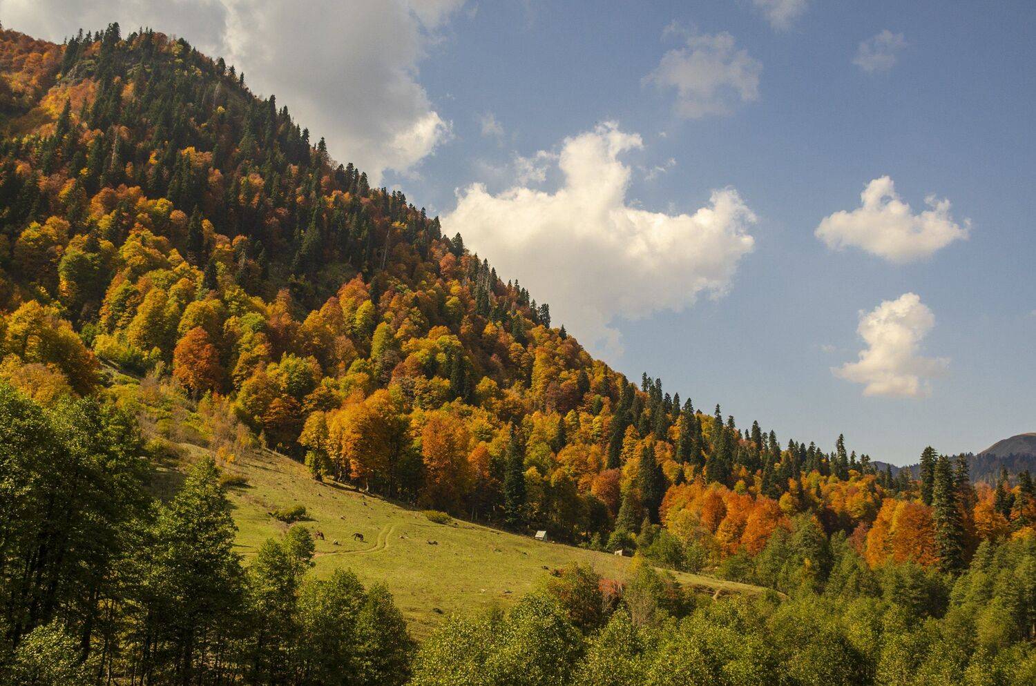 nevant60, пейзаж, красота, природа, Александр Березуцкий