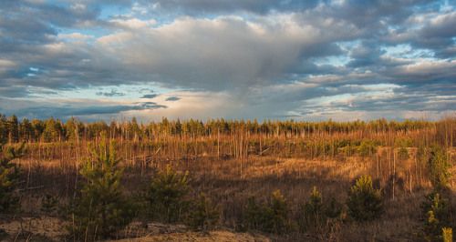 В окрестностях гог. Кулебаки...