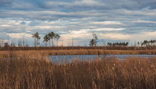 В окрестностях гог. Кулебаки...Весна